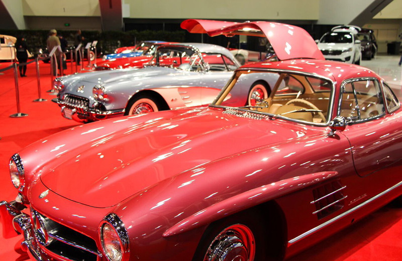 Classic_Cars_Vintage 1955 Mercedes Benz 300- A