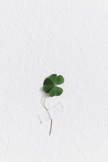 bad-luck-clover-taped-to-a-wall