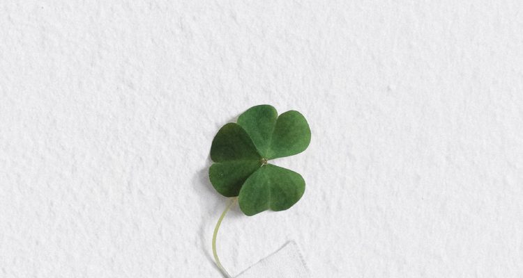 bad-luck-clover-taped-to-a-wall