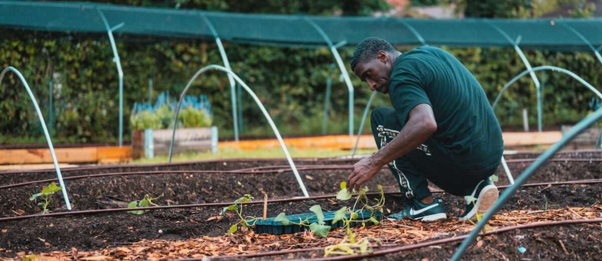 hobbies_to_start_now