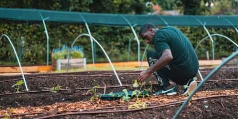 hobbies_to_start_now