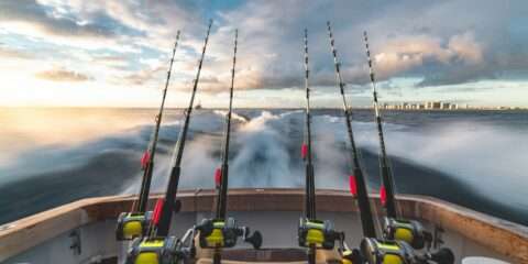 fishing_spinning_rod