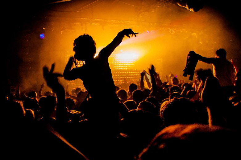 Music_Festival_Audience Crowd At A Concert Show