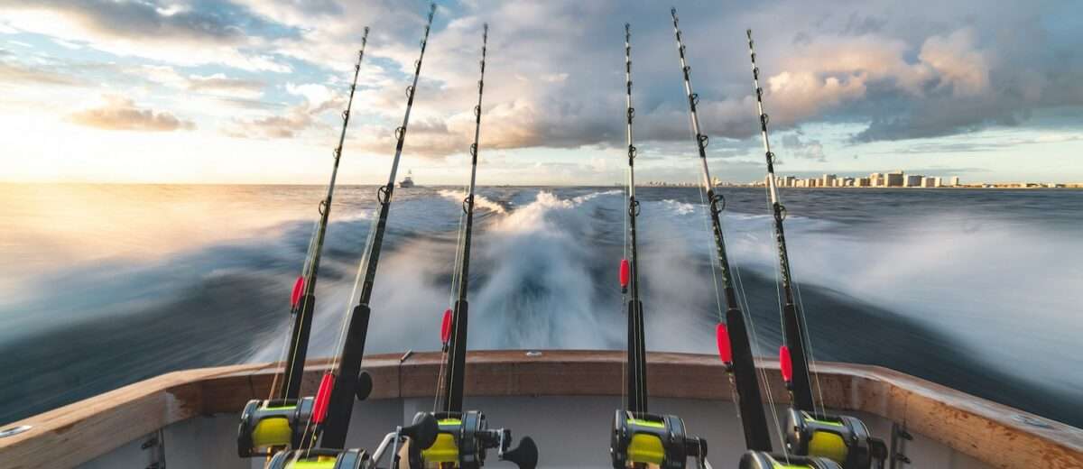 fishing_spinning_rod