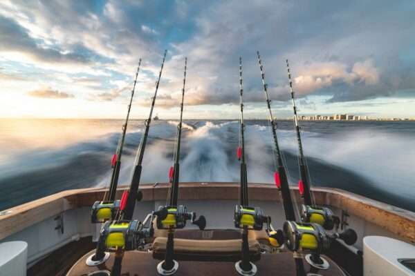 fishing_spinning_rod